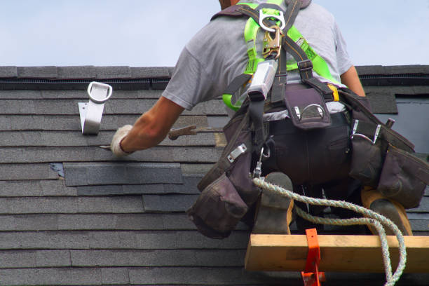 Best Custom Siding Design  in March Ar, CA